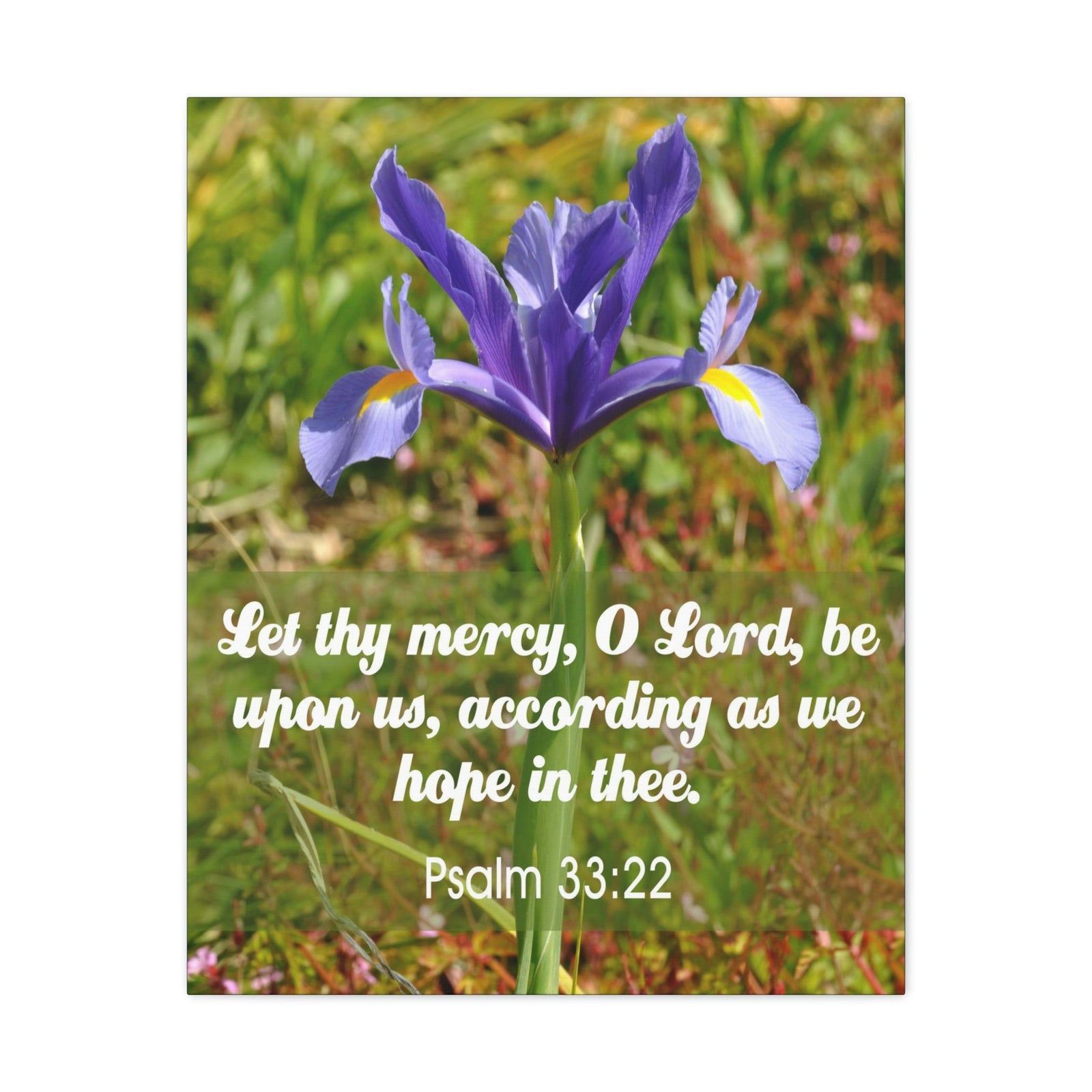 Scripture Walls Hope In Thee Psalm 33:22 Bible Verse Canvas Christian Wall Art Ready to Hang Unframed-Express Your Love Gifts