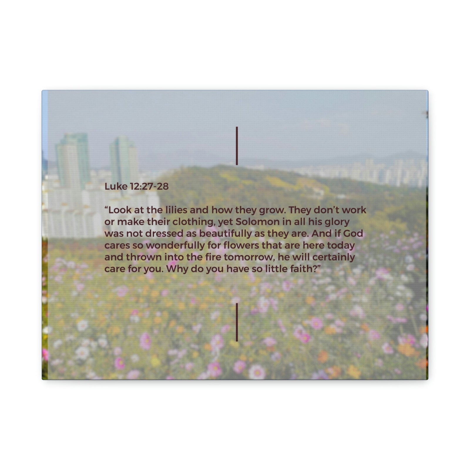 Scripture Walls How They Grow Luke 12:27 Bible Verse Canvas Christian Wall Art Ready to Hang Unframed-Express Your Love Gifts