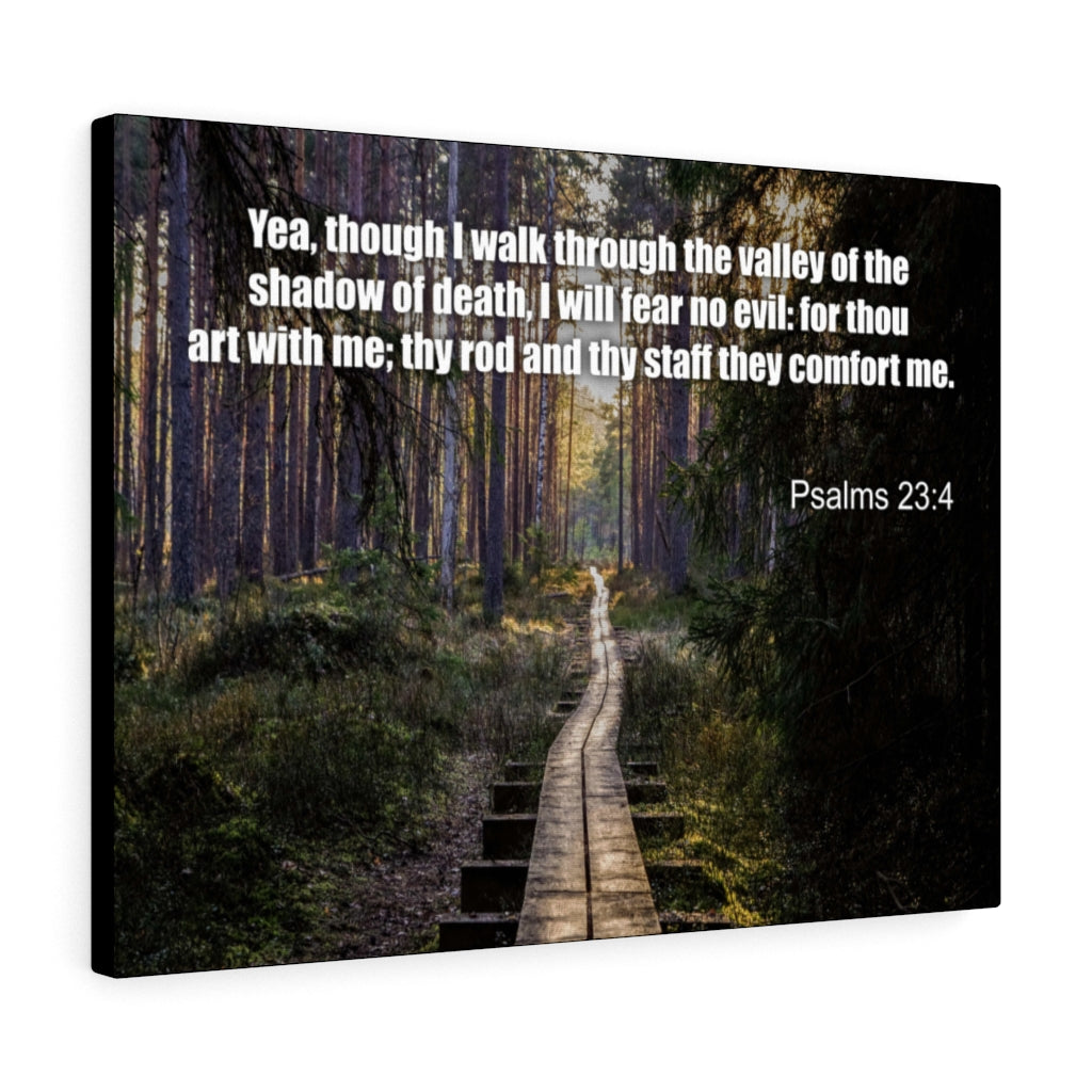 Scripture Walls I Will Fear No Evil Psalm 23:4 Bible Verse Canvas Christian Wall Art Ready to Hang Unframed-Express Your Love Gifts