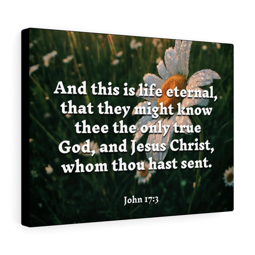 Scripture Walls Life Eternal John 17:3 Bible Verse Canvas Christian Wall Art Ready to Hang Unframed-Express Your Love Gifts