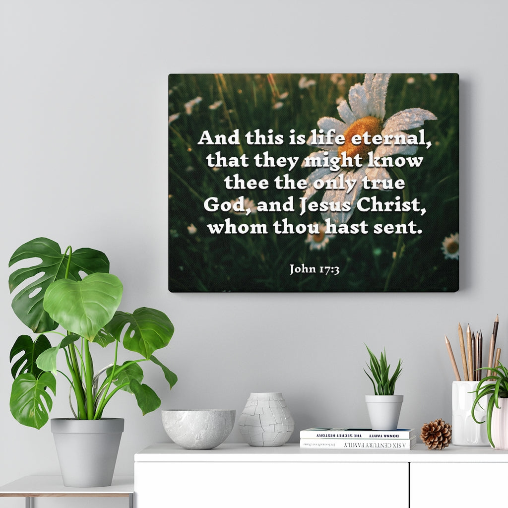 Scripture Walls Life Eternal John 17:3 Bible Verse Canvas Christian Wall Art Ready to Hang Unframed-Express Your Love Gifts