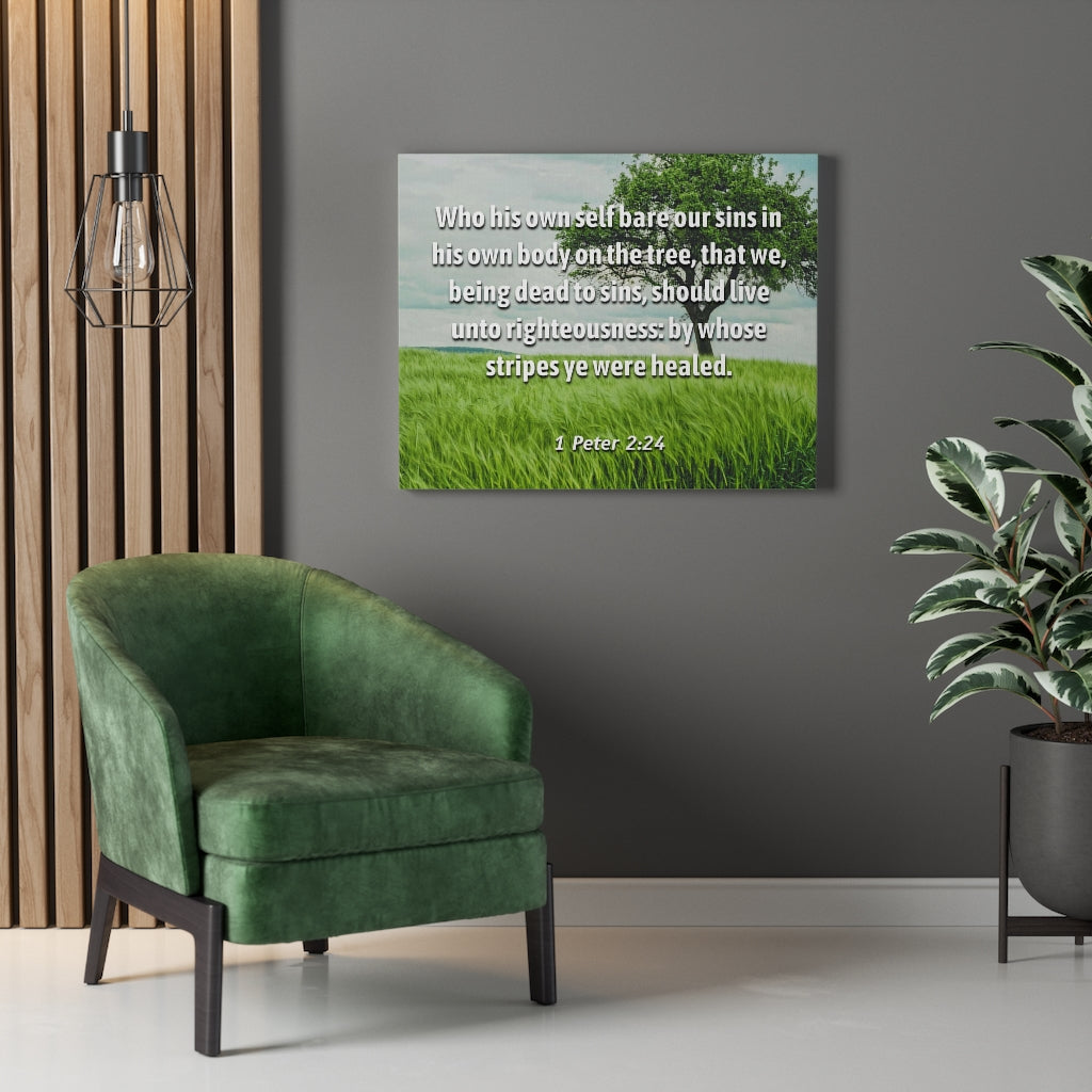 Scripture Walls Live Unto Righteousness 1 Peter 2:24 Bible Verse Canvas Christian Wall Art Ready to Hang Unframed-Express Your Love Gifts