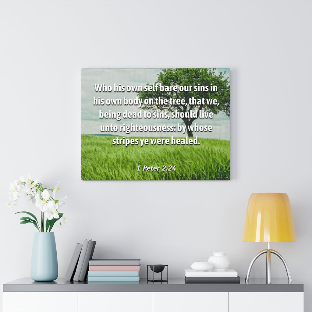 Scripture Walls Live Unto Righteousness 1 Peter 2:24 Bible Verse Canvas Christian Wall Art Ready to Hang Unframed-Express Your Love Gifts