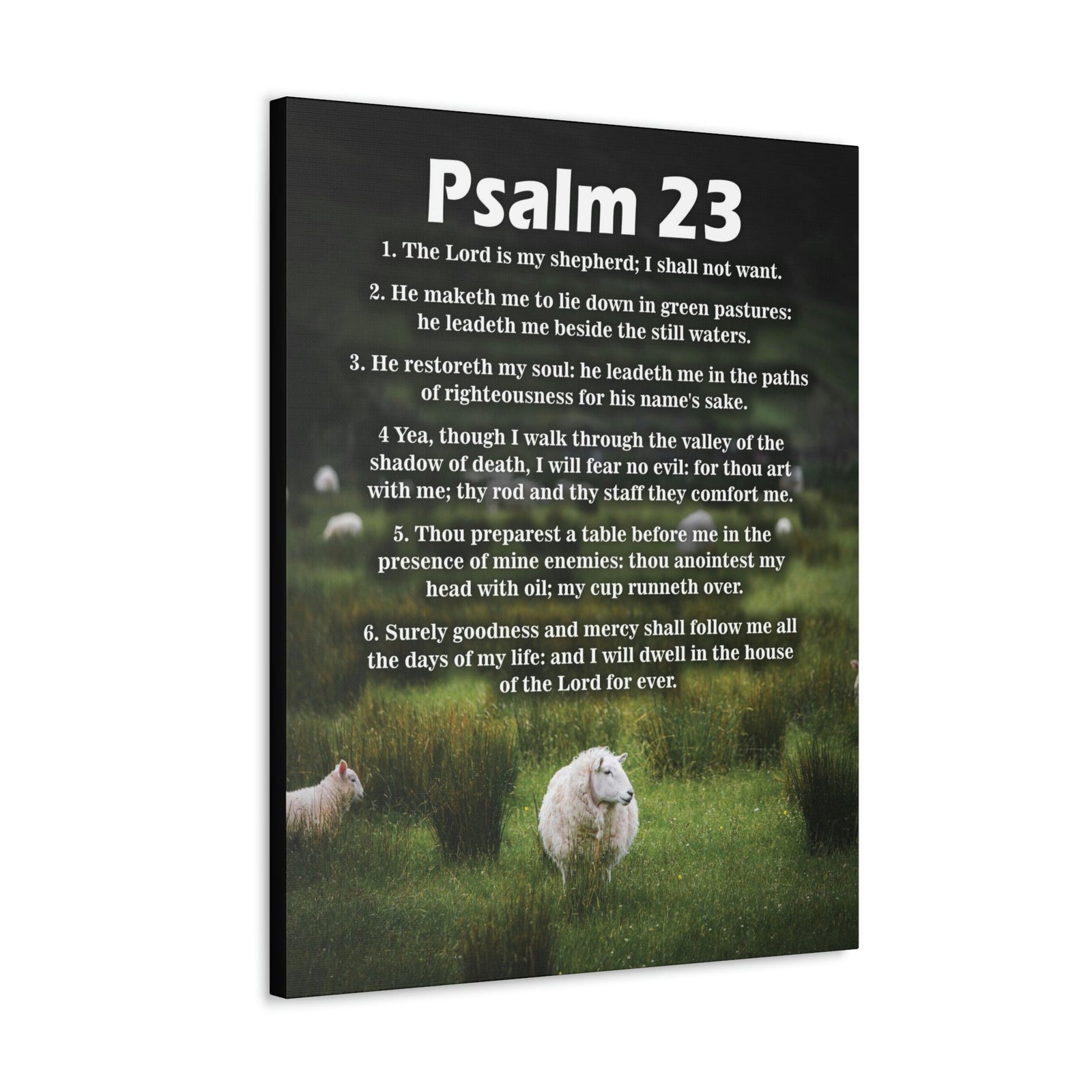 Scripture Walls Lord is My Shepherd Psalm 23 Green Christian Wall Art Bible Verse Print Ready to Hang Unframed-Express Your Love Gifts
