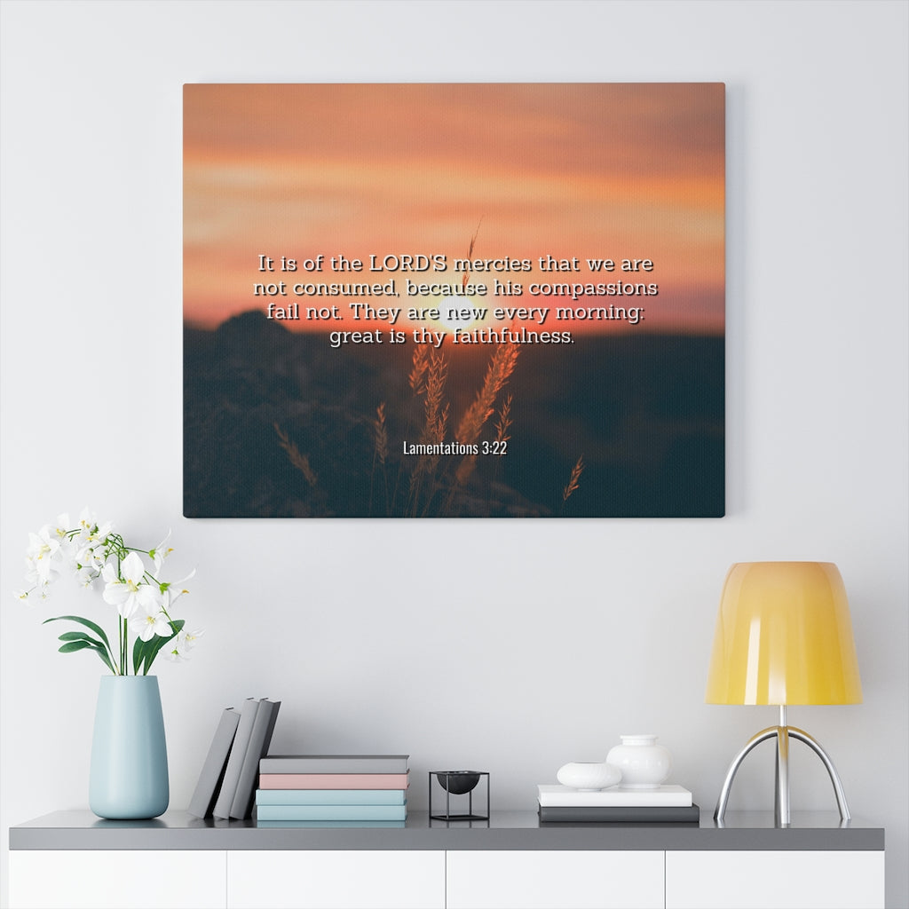 Scripture Walls Lord's Mercy Lamentations 3:22 Bible Verse Canvas Christian Wall Art Ready to Hang Unframed-Express Your Love Gifts