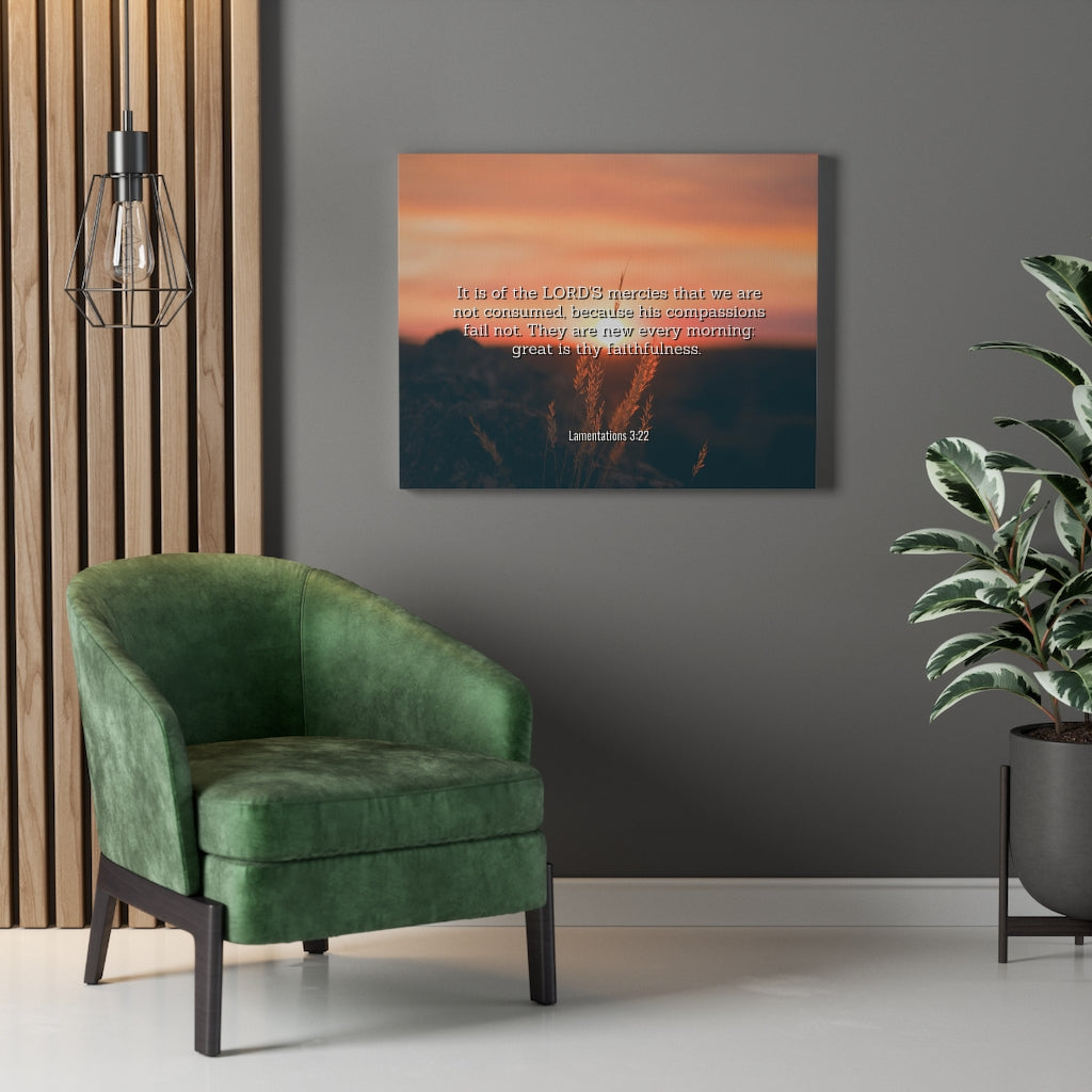 Scripture Walls Lord's Mercy Lamentations 3:22 Bible Verse Canvas Christian Wall Art Ready to Hang Unframed-Express Your Love Gifts