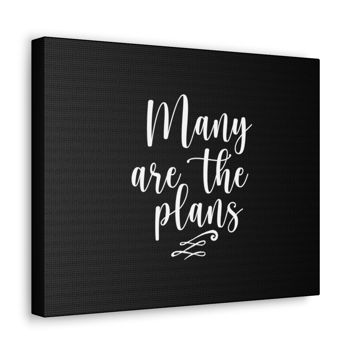 Scripture Walls Many Are The Plans Jeremiah 29:11 Christian Wall Art Bible Verse Print Ready to Hang Unframed-Express Your Love Gifts