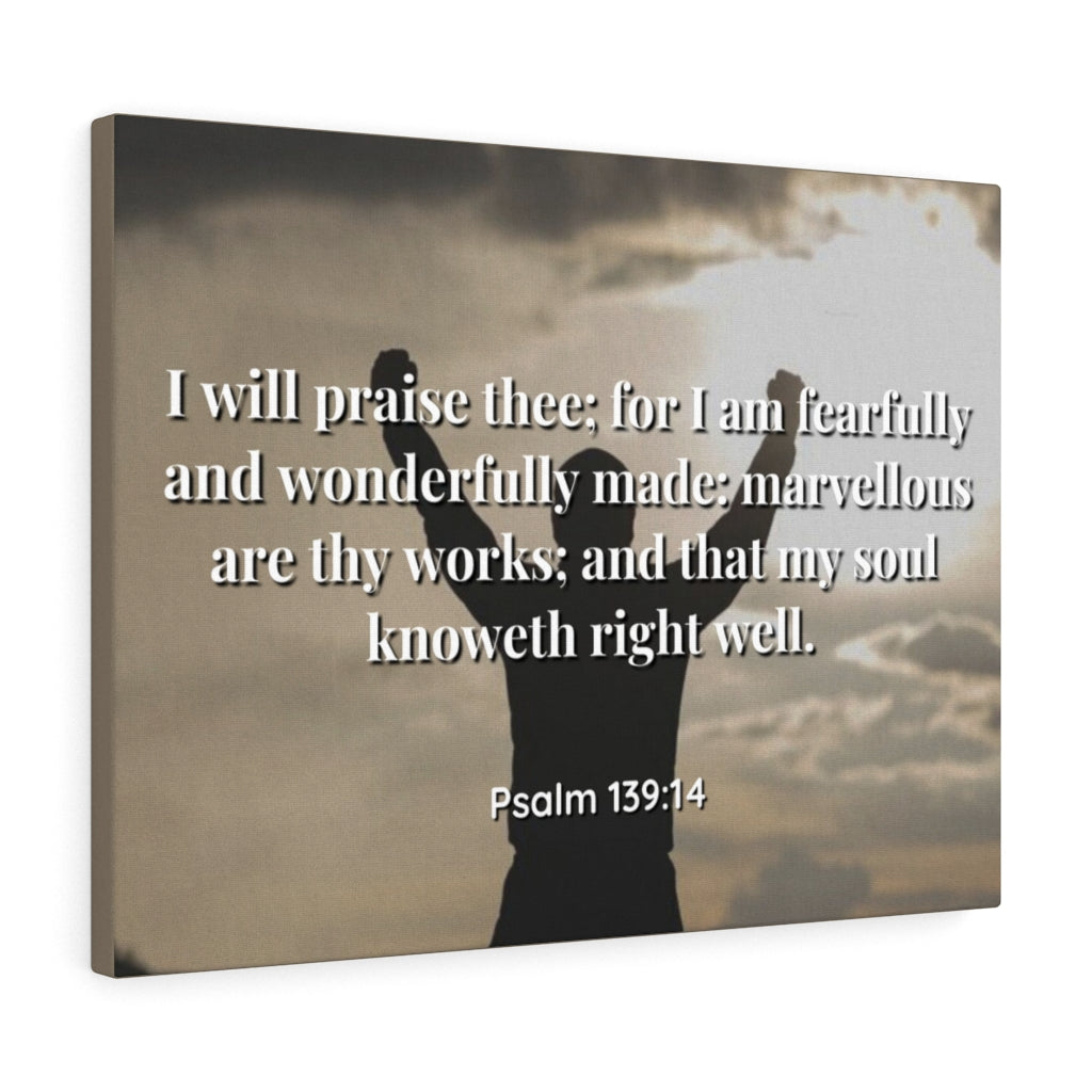Scripture Walls Marvellous Psalms 139:14 Bible Verse Canvas Christian Wall Art Ready to Hang Unframed-Express Your Love Gifts