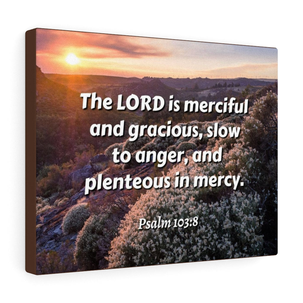 Scripture Walls Merciful And Gracious Psalm 103:8 Bible Verse Canvas Christian Wall Art Ready to Hang Unframed-Express Your Love Gifts
