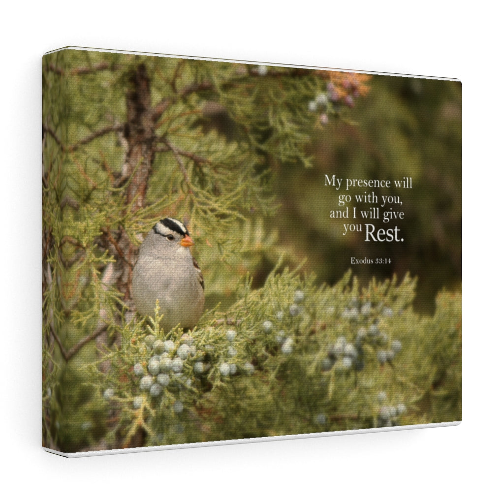 Scripture Walls My Presence Exodus 53:14 Bible Verse Canvas Christian Wall Art Ready to Hang Unframed-Express Your Love Gifts