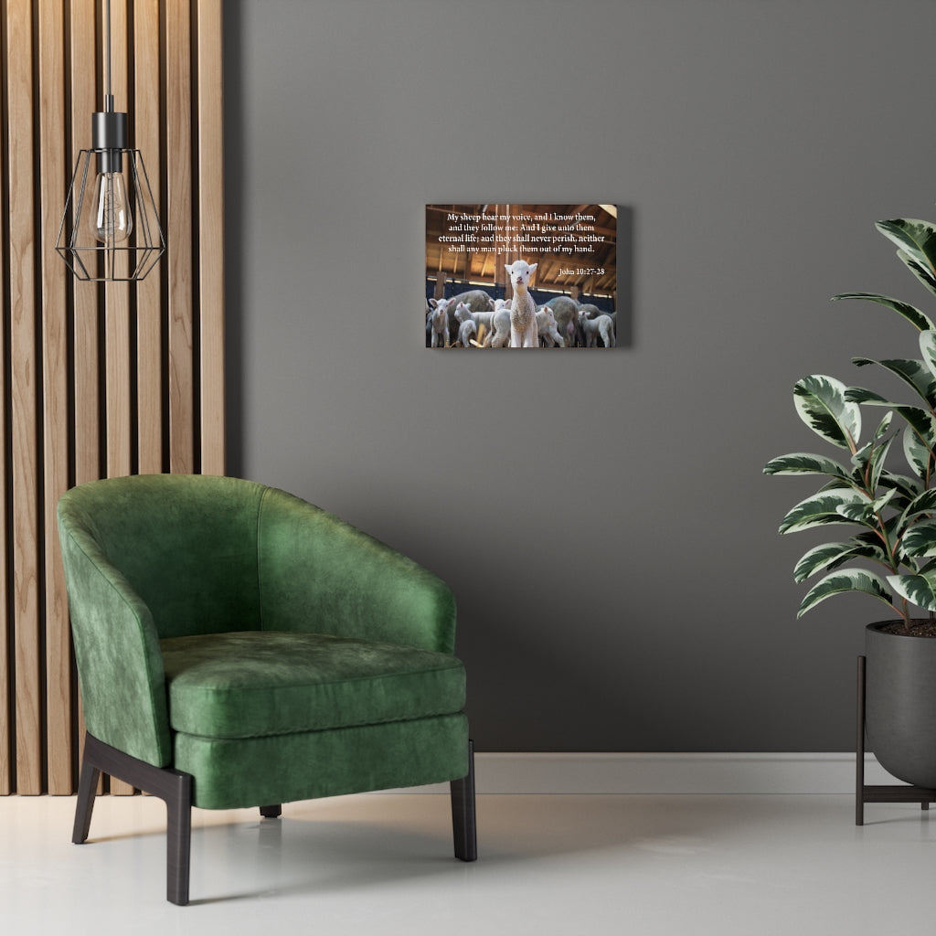 Scripture Walls My Sheep Hear My Voice John 10:27-28 Bible Verse Canvas Christian Wall Art Ready to Hang Unframed-Express Your Love Gifts