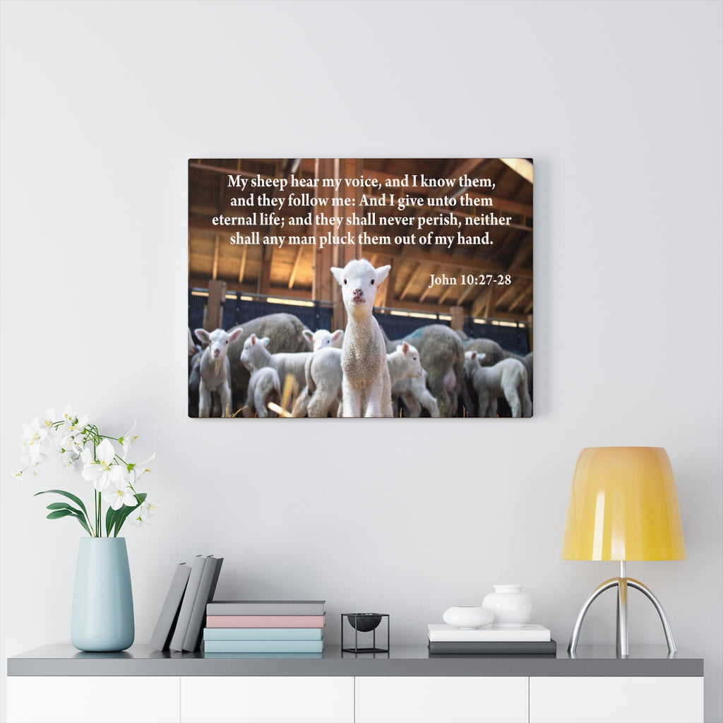 Scripture Walls My Sheep Hear My Voice John 10:27-28 Bible Verse Canvas Christian Wall Art Ready to Hang Unframed-Express Your Love Gifts