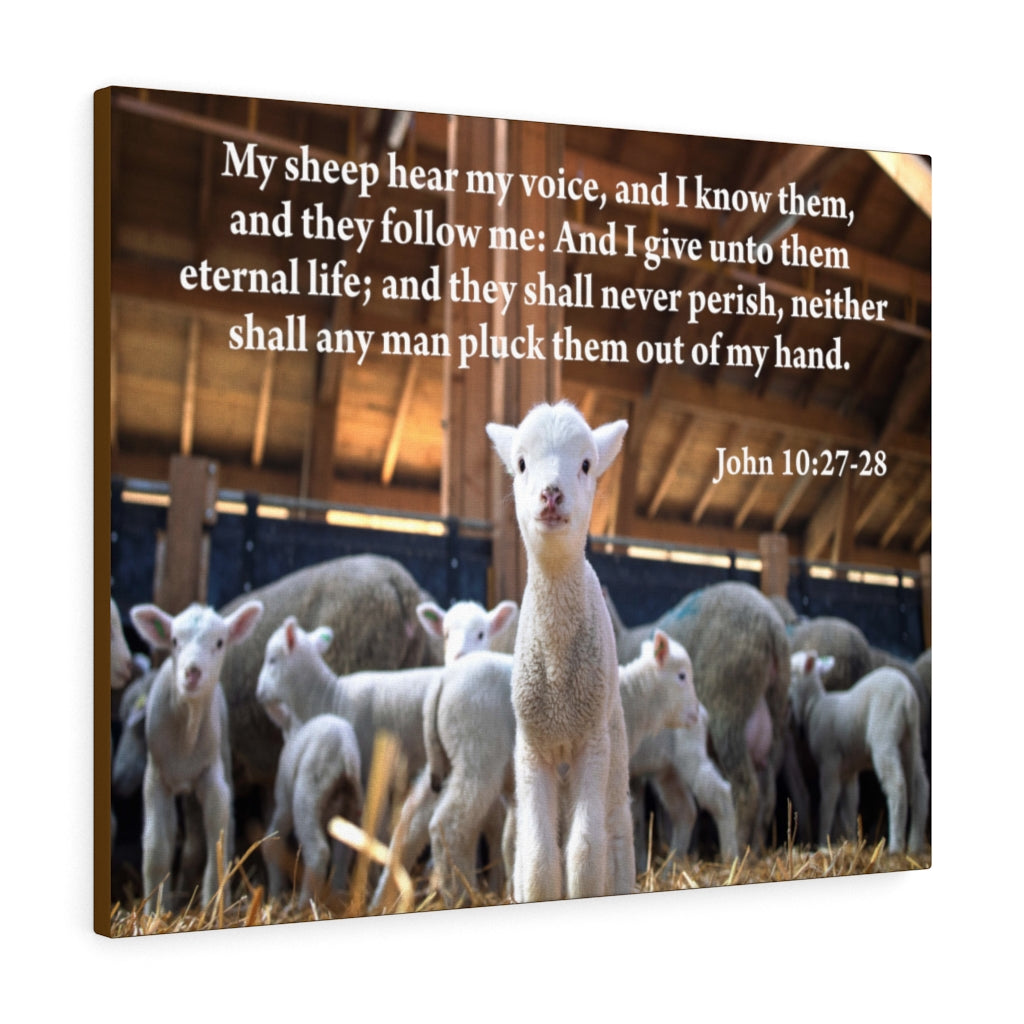 Scripture Walls My Sheep Hear My Voice John 10:27-28 Bible Verse Canvas Christian Wall Art Ready to Hang Unframed-Express Your Love Gifts