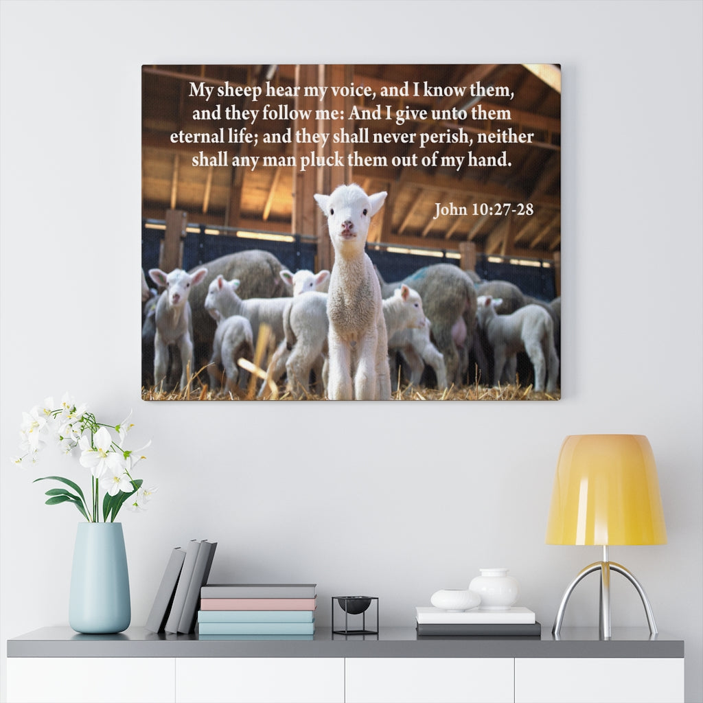 Scripture Walls My Sheep Hear My Voice John 10:27-28 Bible Verse Canvas Christian Wall Art Ready to Hang Unframed-Express Your Love Gifts