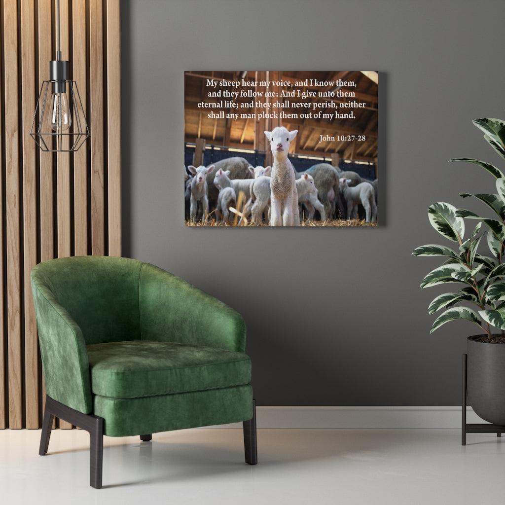Scripture Walls My Sheep Hear My Voice John 10:27-28 Bible Verse Canvas Christian Wall Art Ready to Hang Unframed-Express Your Love Gifts
