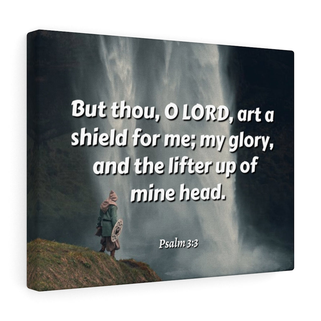 Scripture Walls My Shield Psalm 3:3 Bible Verse Canvas Christian Wall Art Ready to Hang Unframed-Express Your Love Gifts
