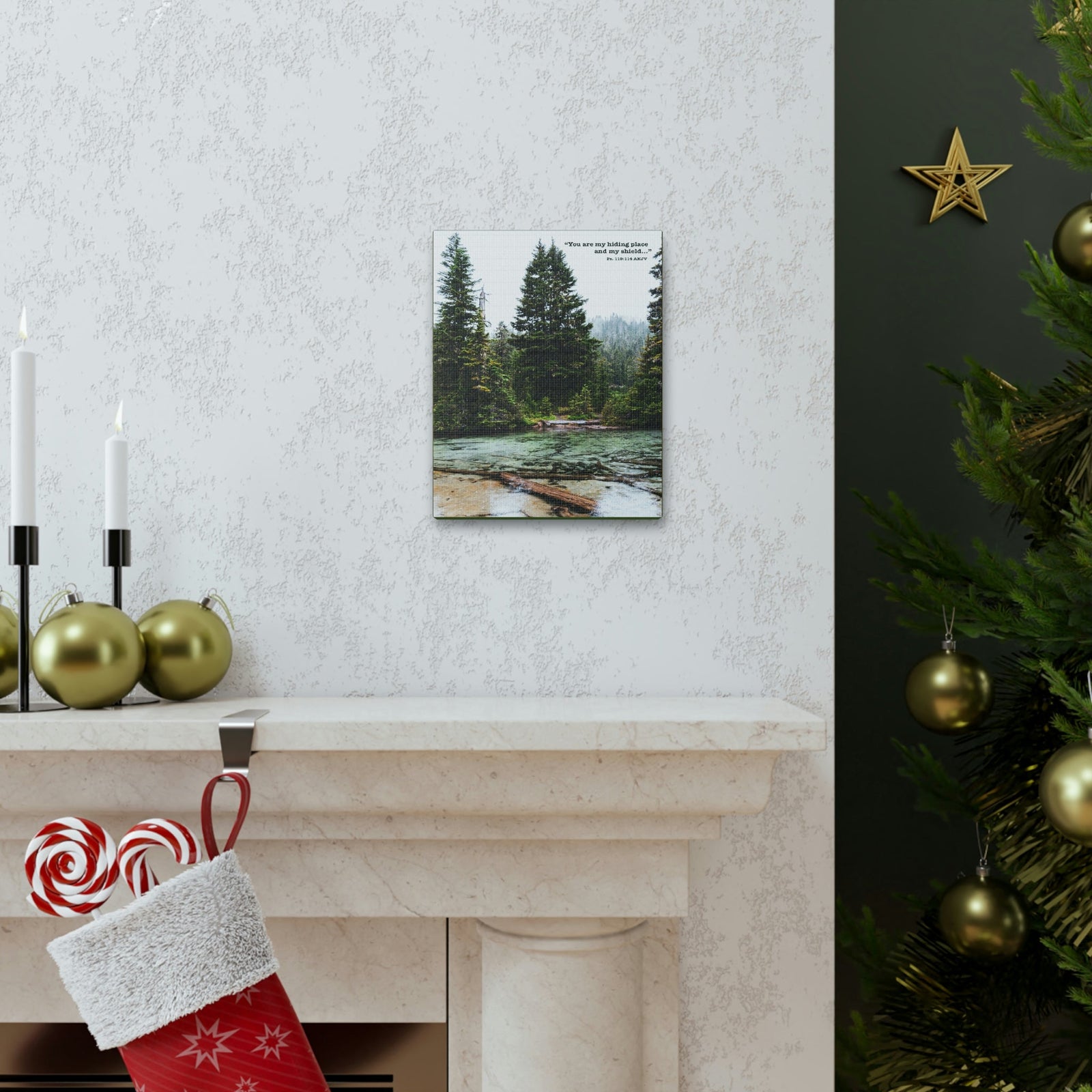 Scripture Walls My Shield Psalms 119:114 Bible Verse Canvas Christian Wall Art Ready to Hang Unframed-Express Your Love Gifts