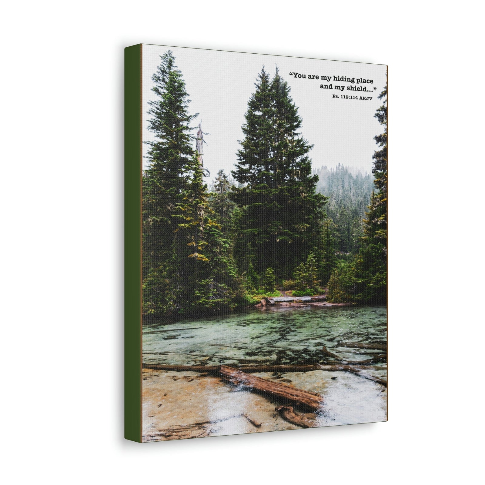 Scripture Walls My Shield Psalms 119:114 Bible Verse Canvas Christian Wall Art Ready to Hang Unframed-Express Your Love Gifts