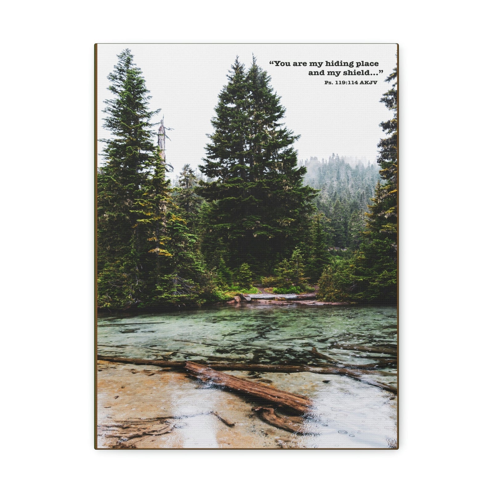 Scripture Walls My Shield Psalms 119:114 Bible Verse Canvas Christian Wall Art Ready to Hang Unframed-Express Your Love Gifts