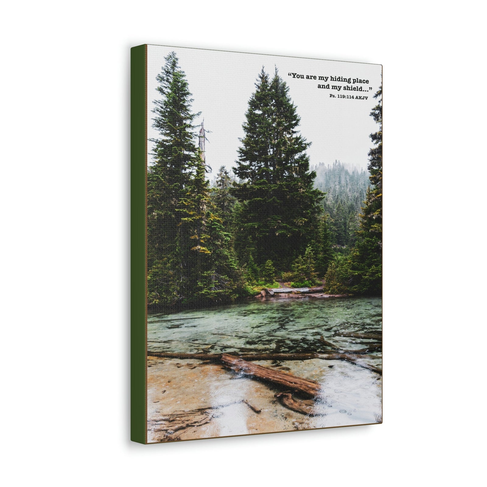 Scripture Walls My Shield Psalms 119:114 Bible Verse Canvas Christian Wall Art Ready to Hang Unframed-Express Your Love Gifts