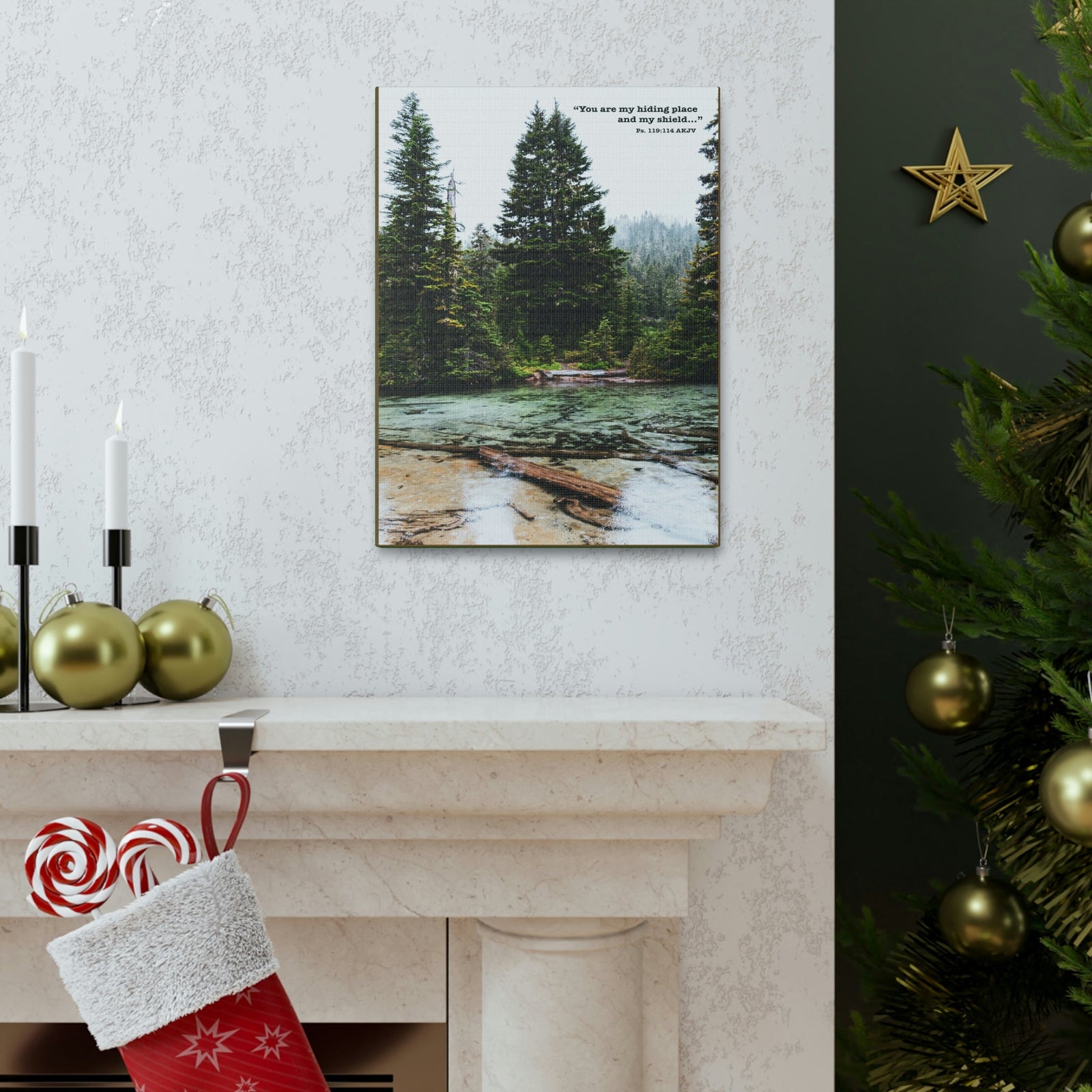 Scripture Walls My Shield Psalms 119:114 Bible Verse Canvas Christian Wall Art Ready to Hang Unframed-Express Your Love Gifts