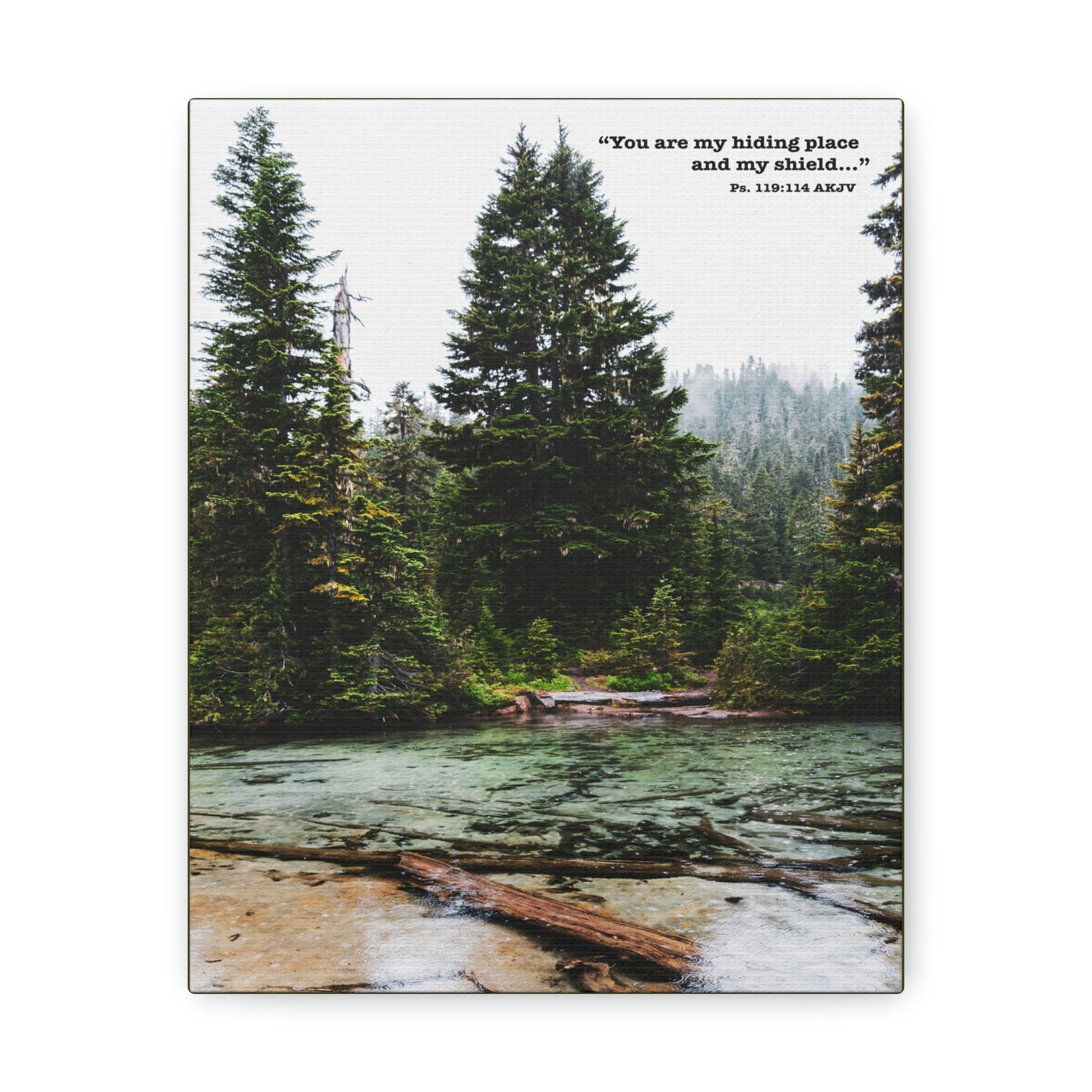 Scripture Walls My Shield Psalms 119:114 Bible Verse Canvas Christian Wall Art Ready to Hang Unframed-Express Your Love Gifts