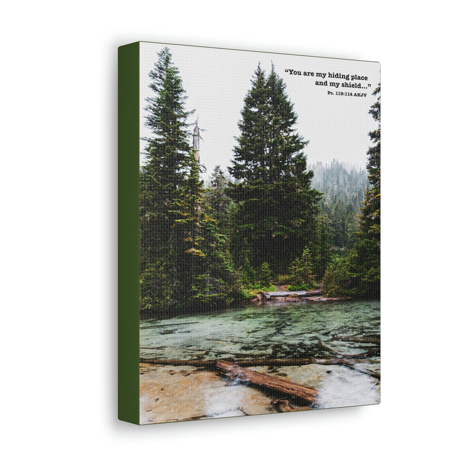 Scripture Walls My Shield Psalms 119:114 Bible Verse Canvas Christian Wall Art Ready to Hang Unframed-Express Your Love Gifts