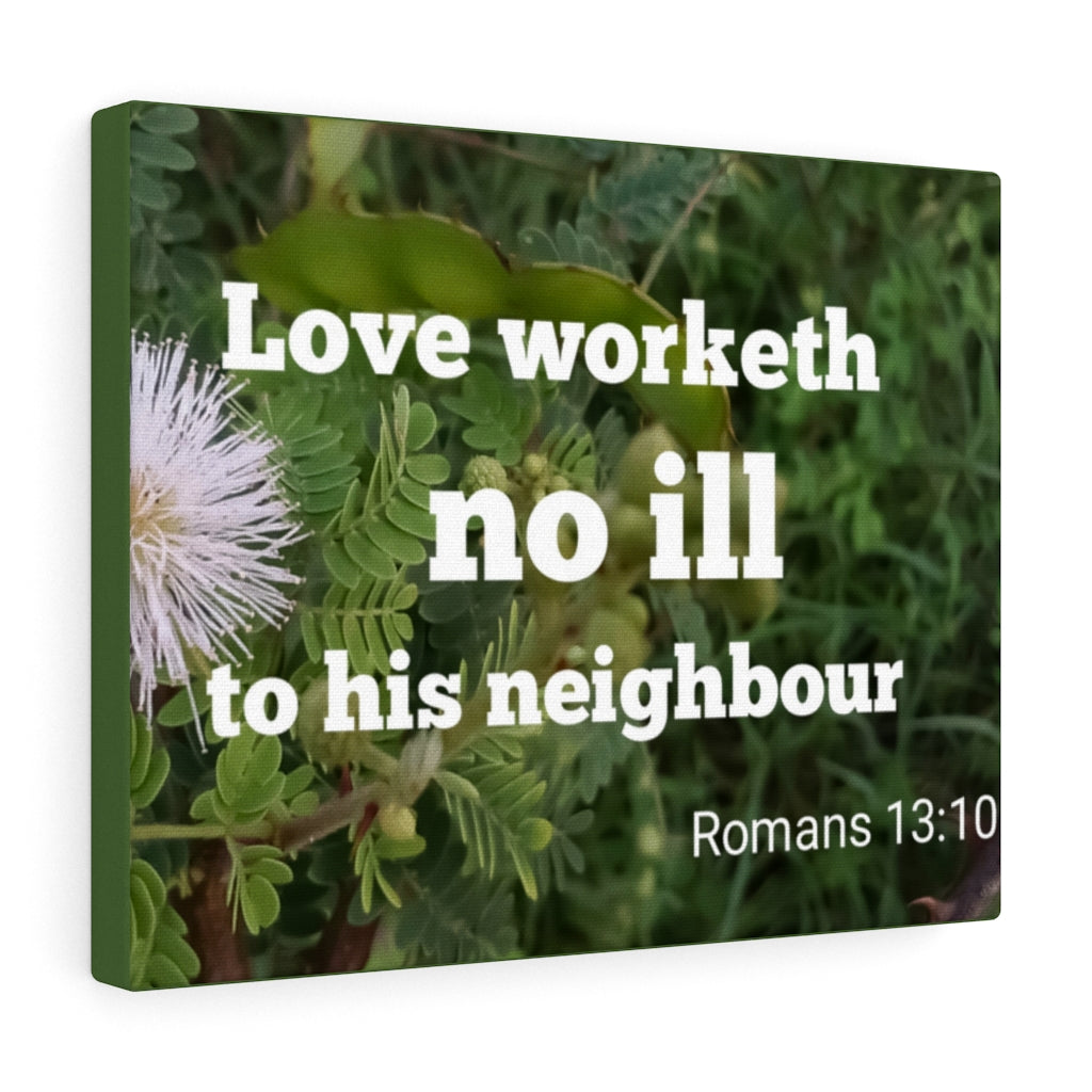 Scripture Walls Neighbor Romans 13:10 Bible Verse Canvas Christian Wall Art Ready to Hang Unframed-Express Your Love Gifts