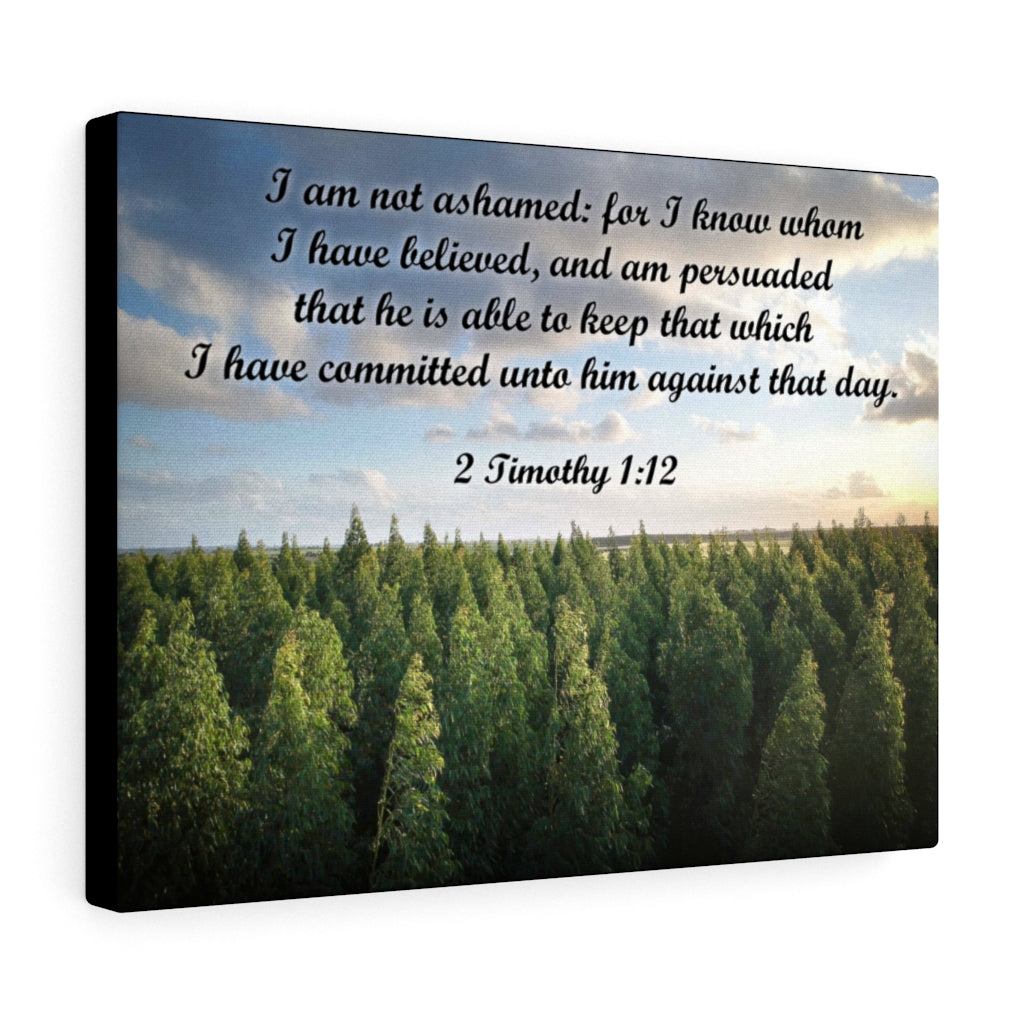 Scripture Walls Not Ashamed 2 Timothy 1:12 Bible Verse Canvas Christian Wall Art Ready to Hang Unframed-Express Your Love Gifts