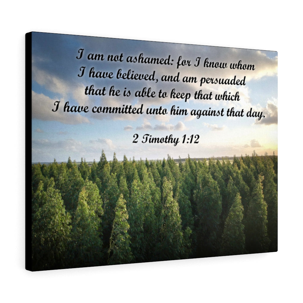 Scripture Walls Not Ashamed 2 Timothy 1:12 Bible Verse Canvas Christian Wall Art Ready to Hang Unframed-Express Your Love Gifts