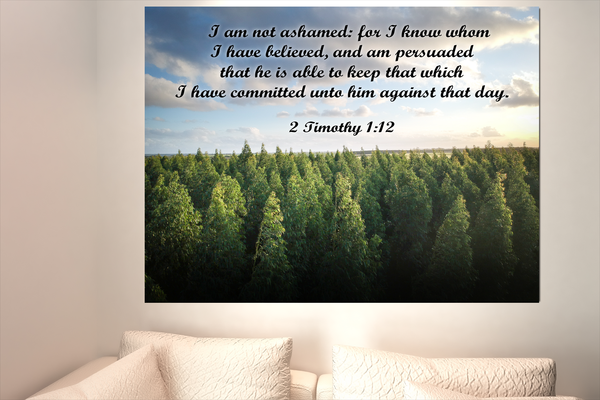 Scripture Walls Not Ashamed 2 Timothy 1:12 Bible Verse Canvas Christian Wall Art Ready to Hang Unframed-Express Your Love Gifts