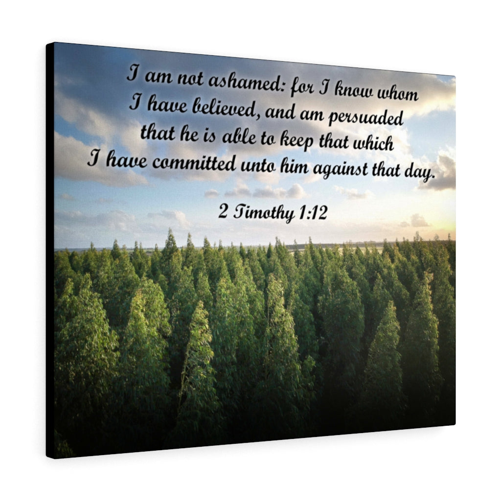Scripture Walls Not Ashamed 2 Timothy 1:12 Bible Verse Canvas Christian Wall Art Ready to Hang Unframed-Express Your Love Gifts