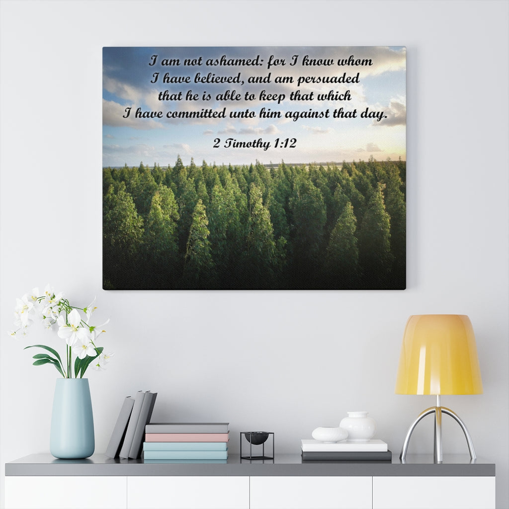Scripture Walls Not Ashamed 2 Timothy 1:12 Bible Verse Canvas Christian Wall Art Ready to Hang Unframed-Express Your Love Gifts