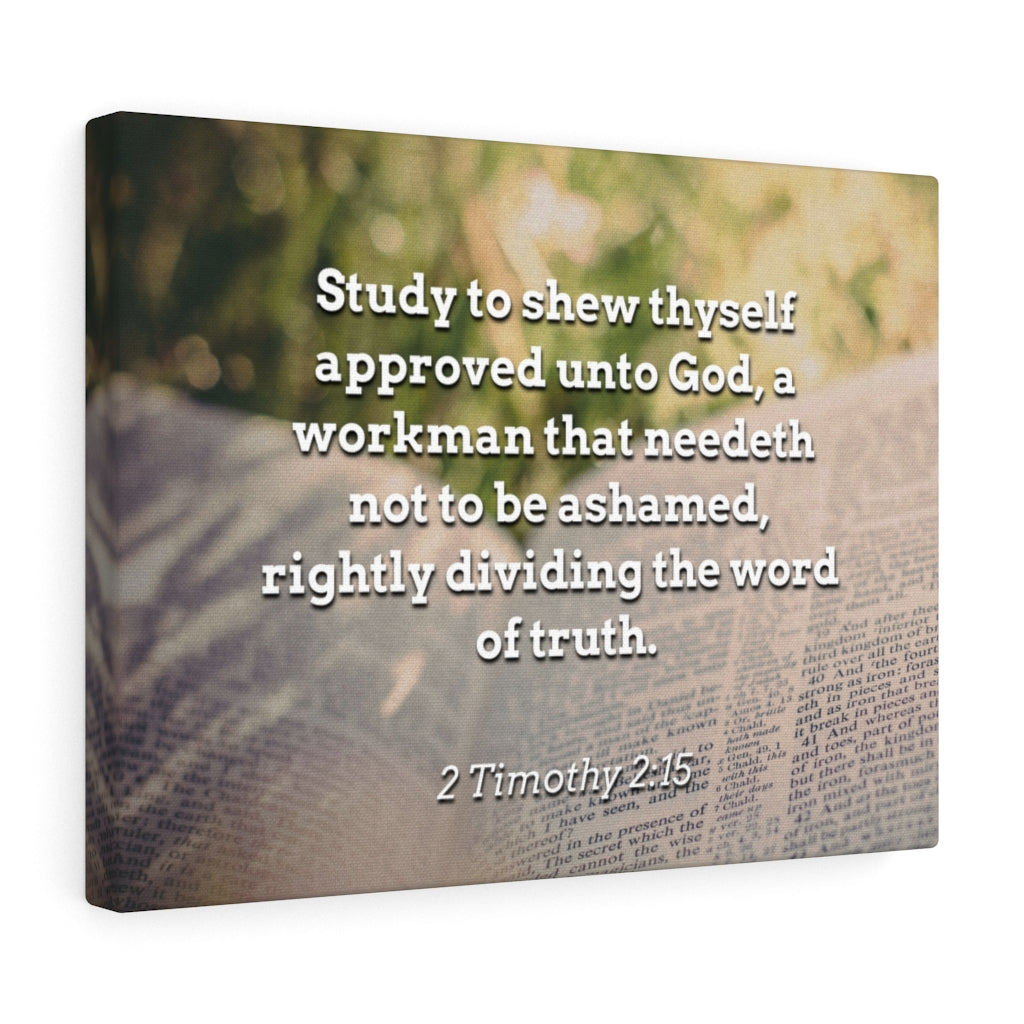 Scripture Walls Not To Be Ashamed 2 Timothy 2:15 Bible Verse Canvas Christian Wall Art Ready to Hang Unframed-Express Your Love Gifts