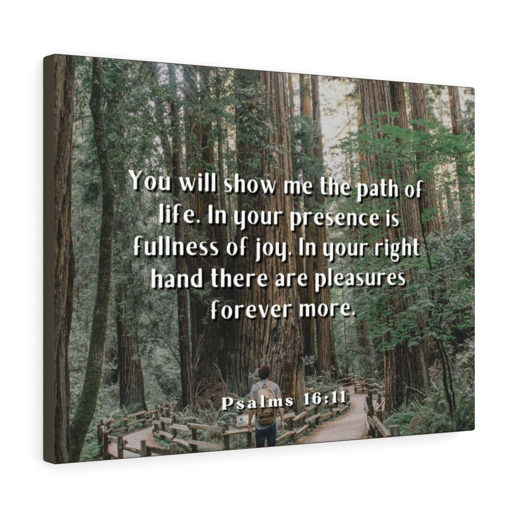 Scripture Walls Path Of Life Psalms 16:11 Bible Verse Canvas Christian Wall Art Ready to Hang Unframed-Express Your Love Gifts