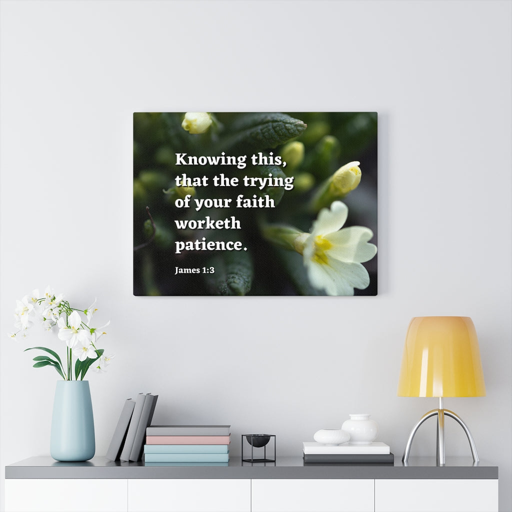 Scripture Walls Patience James 1:3 Bible Verse Canvas Christian Wall Art Ready to Hang Unframed-Express Your Love Gifts