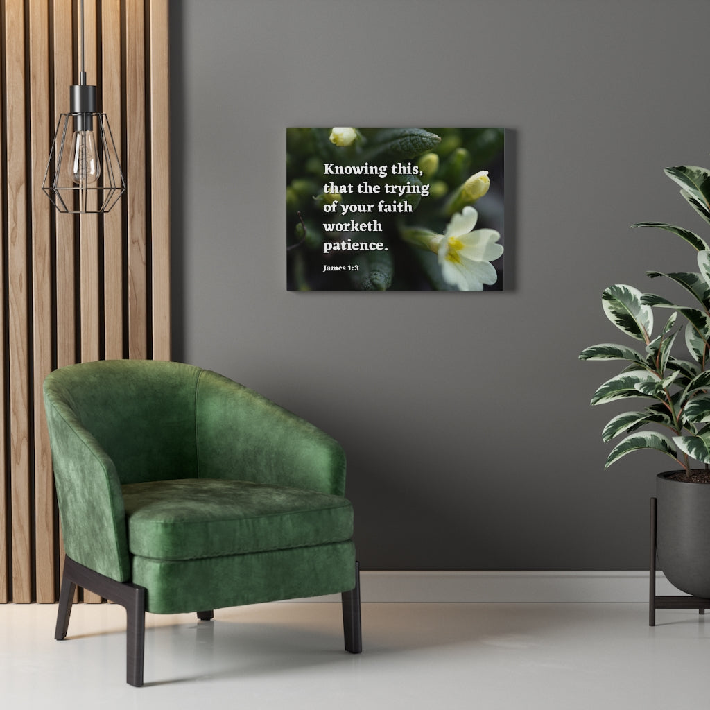 Scripture Walls Patience James 1:3 Bible Verse Canvas Christian Wall Art Ready to Hang Unframed-Express Your Love Gifts