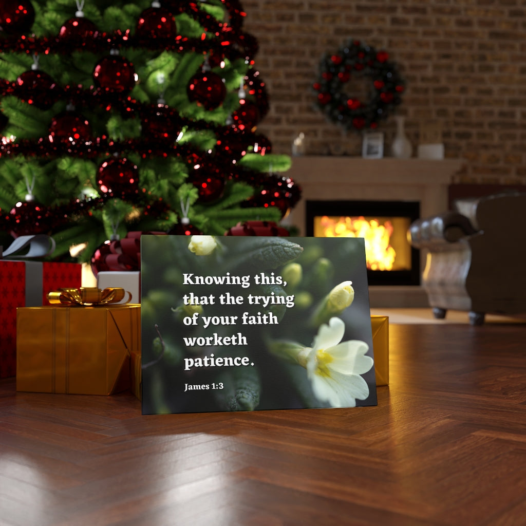 Scripture Walls Patience James 1:3 Bible Verse Canvas Christian Wall Art Ready to Hang Unframed-Express Your Love Gifts