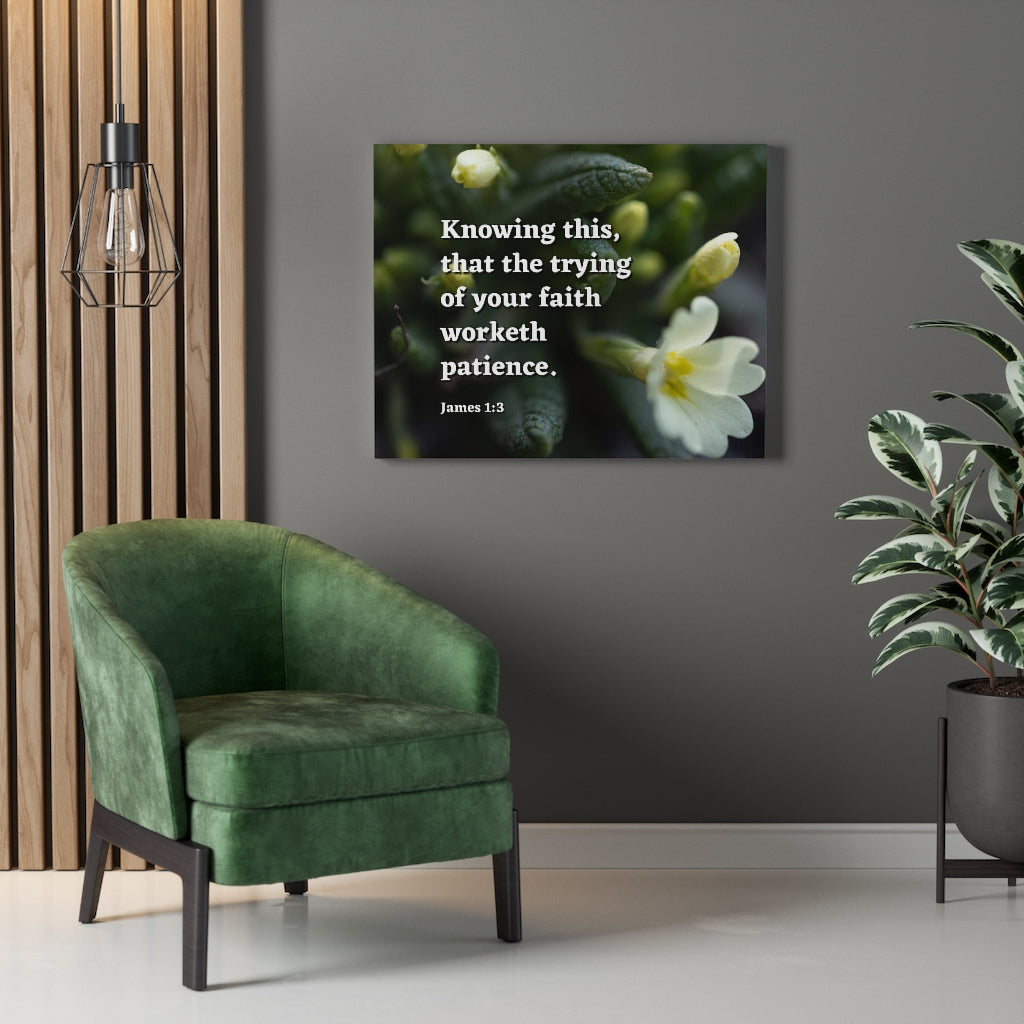 Scripture Walls Patience James 1:3 Bible Verse Canvas Christian Wall Art Ready to Hang Unframed-Express Your Love Gifts
