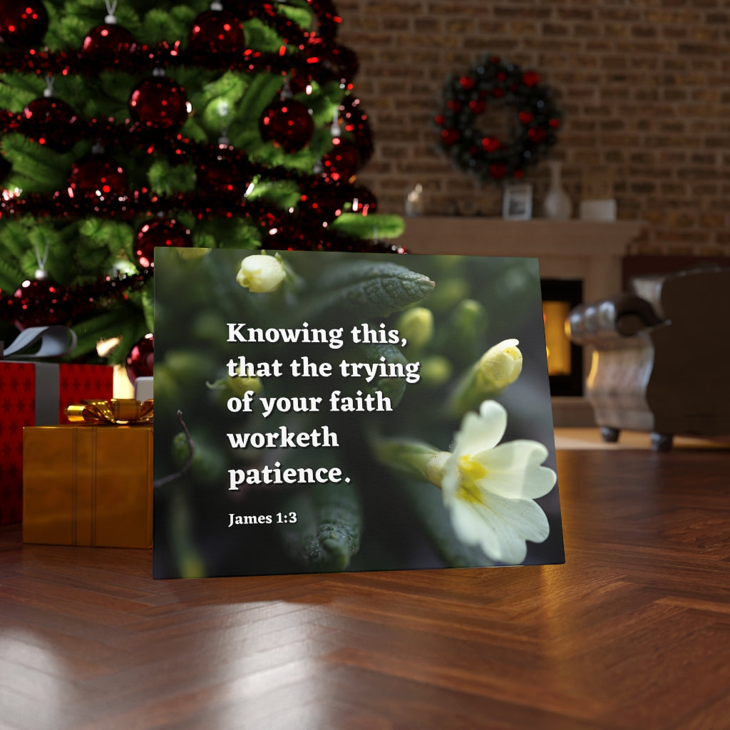 Scripture Walls Patience James 1:3 Bible Verse Canvas Christian Wall Art Ready to Hang Unframed-Express Your Love Gifts