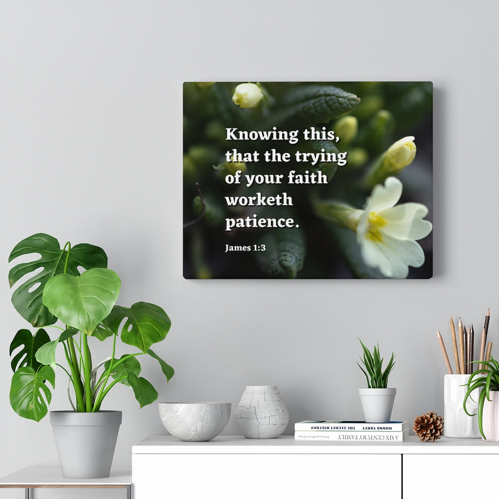 Scripture Walls Patience James 1:3 Bible Verse Canvas Christian Wall Art Ready to Hang Unframed-Express Your Love Gifts