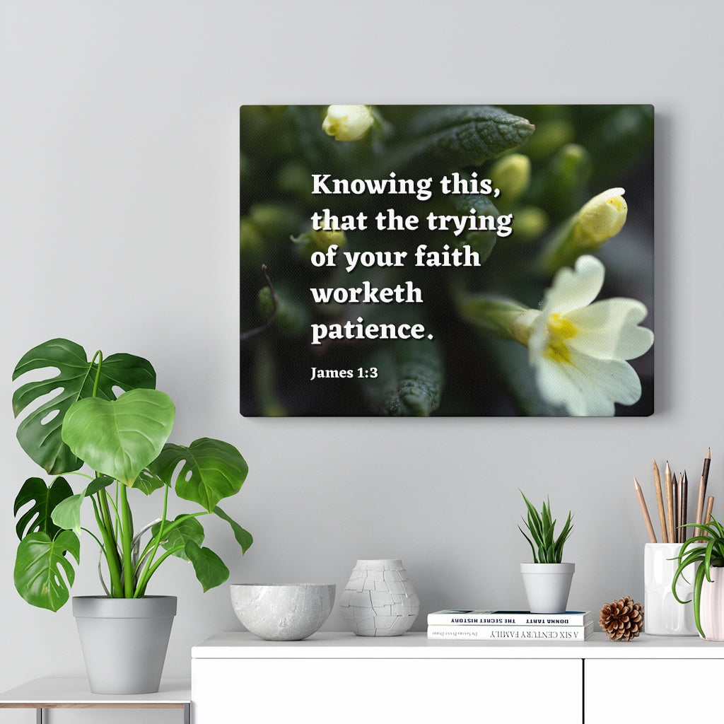 Scripture Walls Patience James 1:3 Bible Verse Canvas Christian Wall Art Ready to Hang Unframed-Express Your Love Gifts