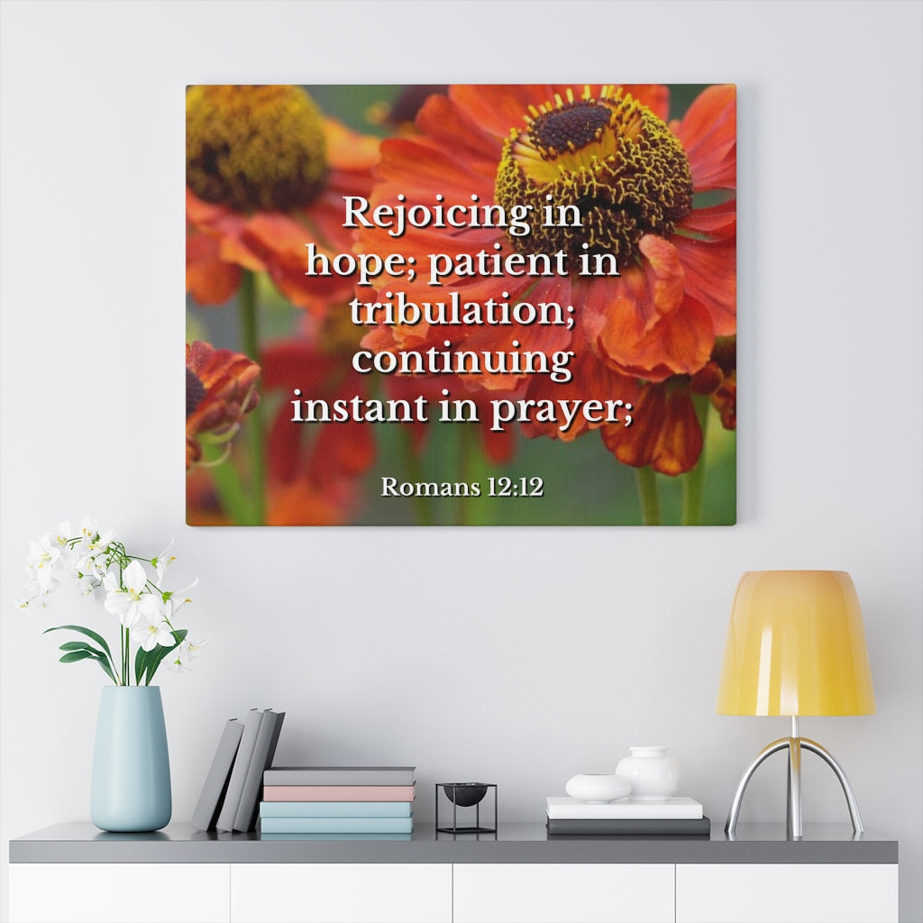 Scripture Walls Patient In Tribulation Romans 12:12 Bible Verse Canvas Christian Wall Art Ready to Hang Unframed-Express Your Love Gifts