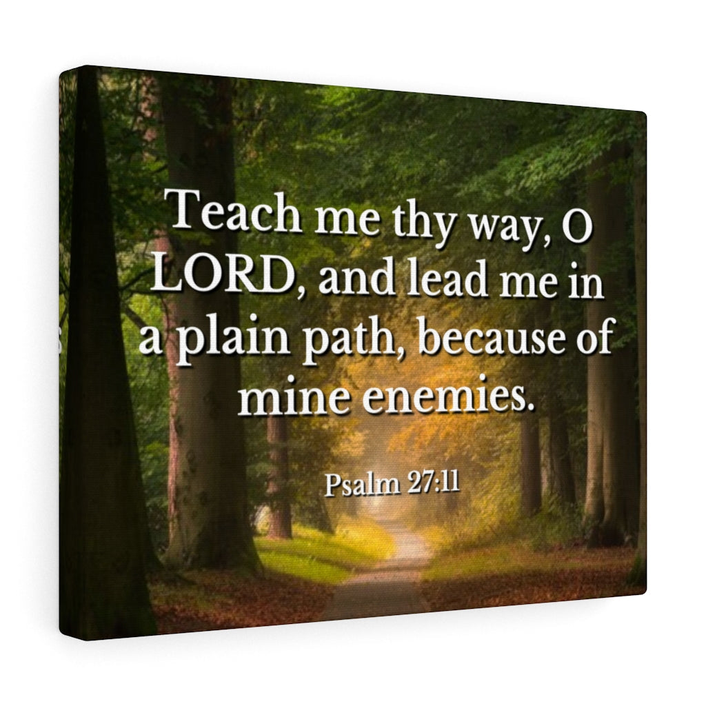 Scripture Walls Plain Path Psalm 27:11 Bible Verse Canvas Christian Wall Art Ready to Hang Unframed-Express Your Love Gifts