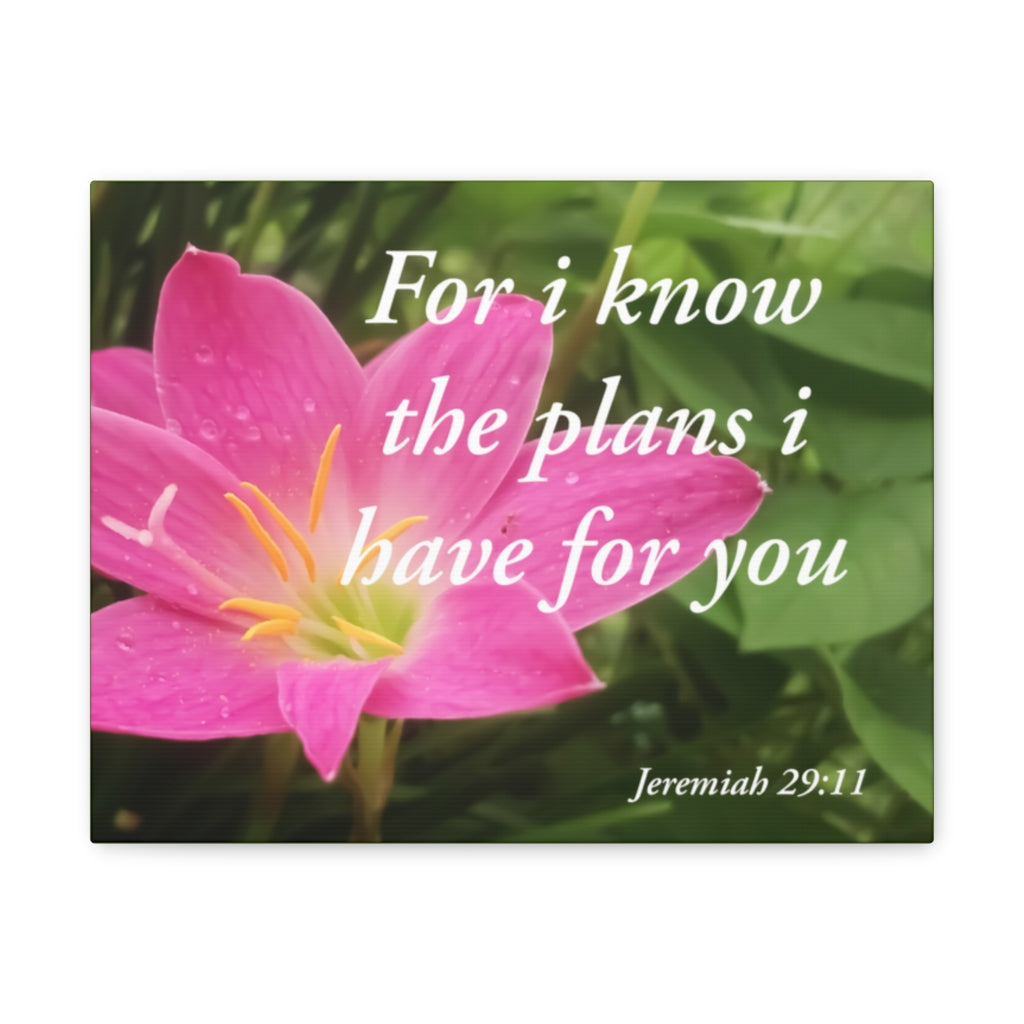 Scripture Walls Plans I Have Jeremiah 29:11 Bible Verse Canvas Christian Wall Art Ready to Hang Unframed-Express Your Love Gifts