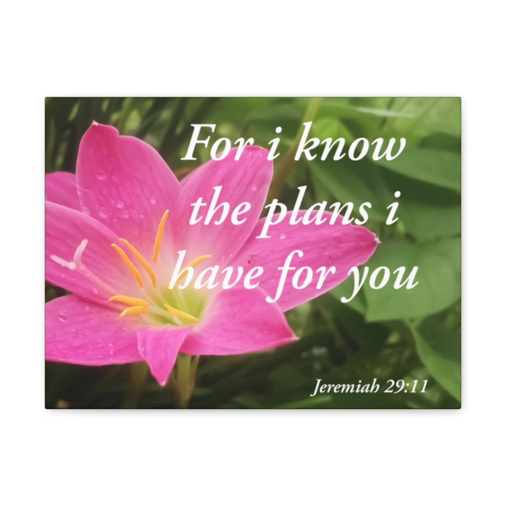 Scripture Walls Plans I Have Jeremiah 29:11 Bible Verse Canvas Christian Wall Art Ready to Hang Unframed-Express Your Love Gifts