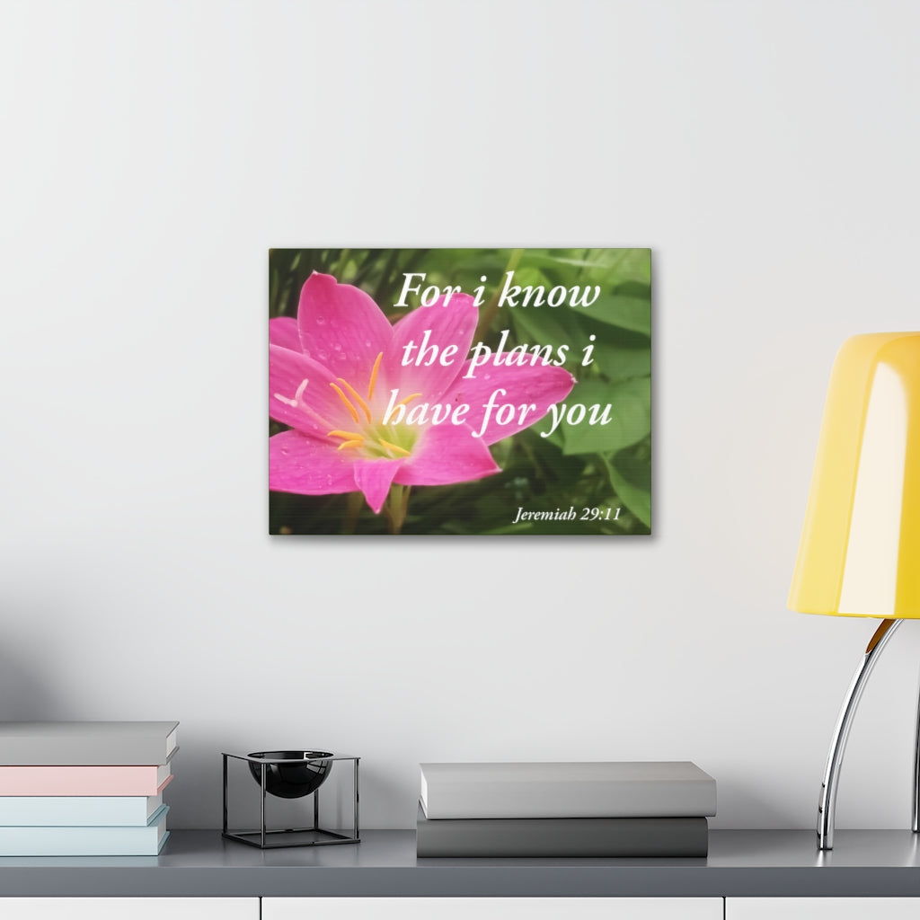 Scripture Walls Plans I Have Jeremiah 29:11 Bible Verse Canvas Christian Wall Art Ready to Hang Unframed-Express Your Love Gifts