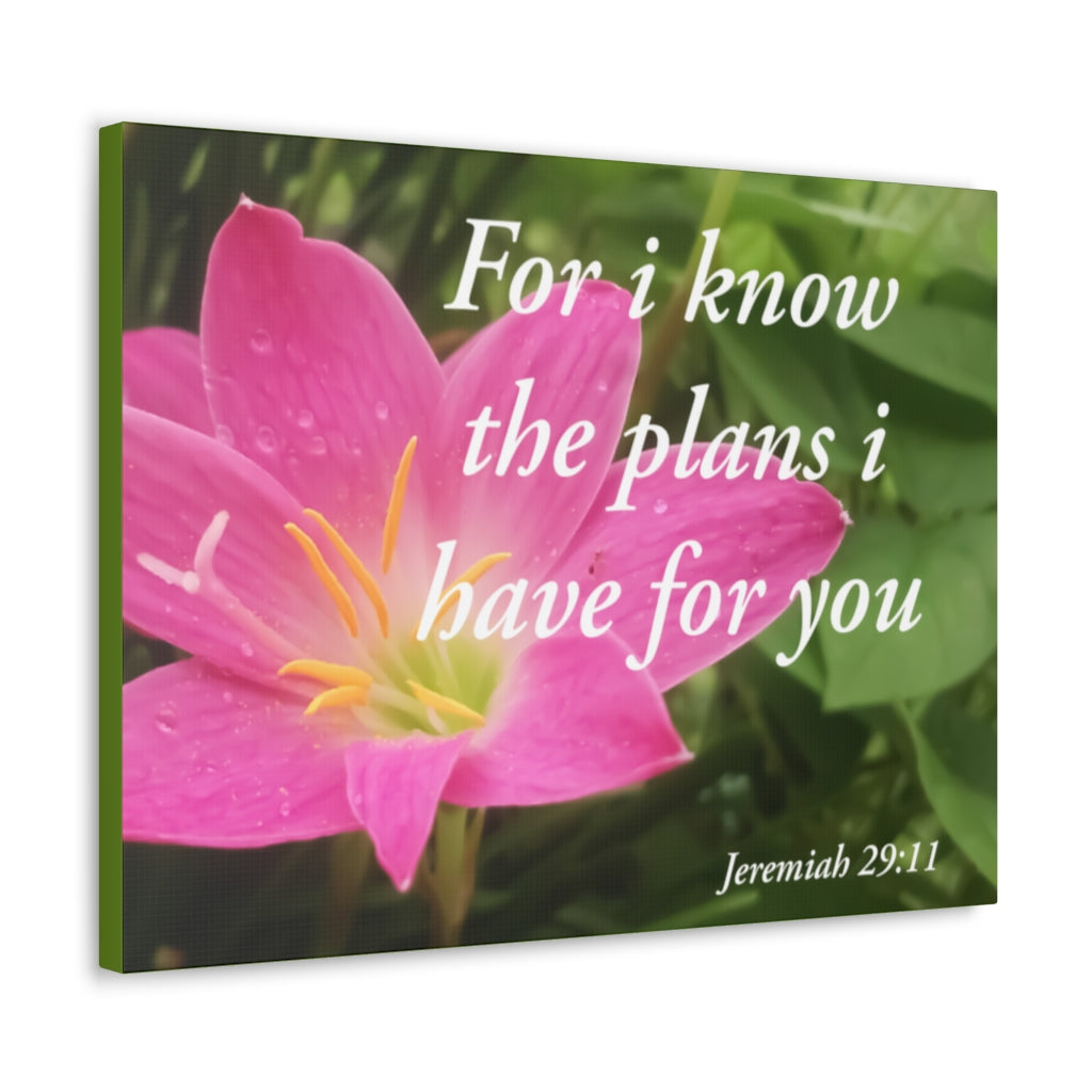 Scripture Walls Plans I Have Jeremiah 29:11 Bible Verse Canvas Christian Wall Art Ready to Hang Unframed-Express Your Love Gifts