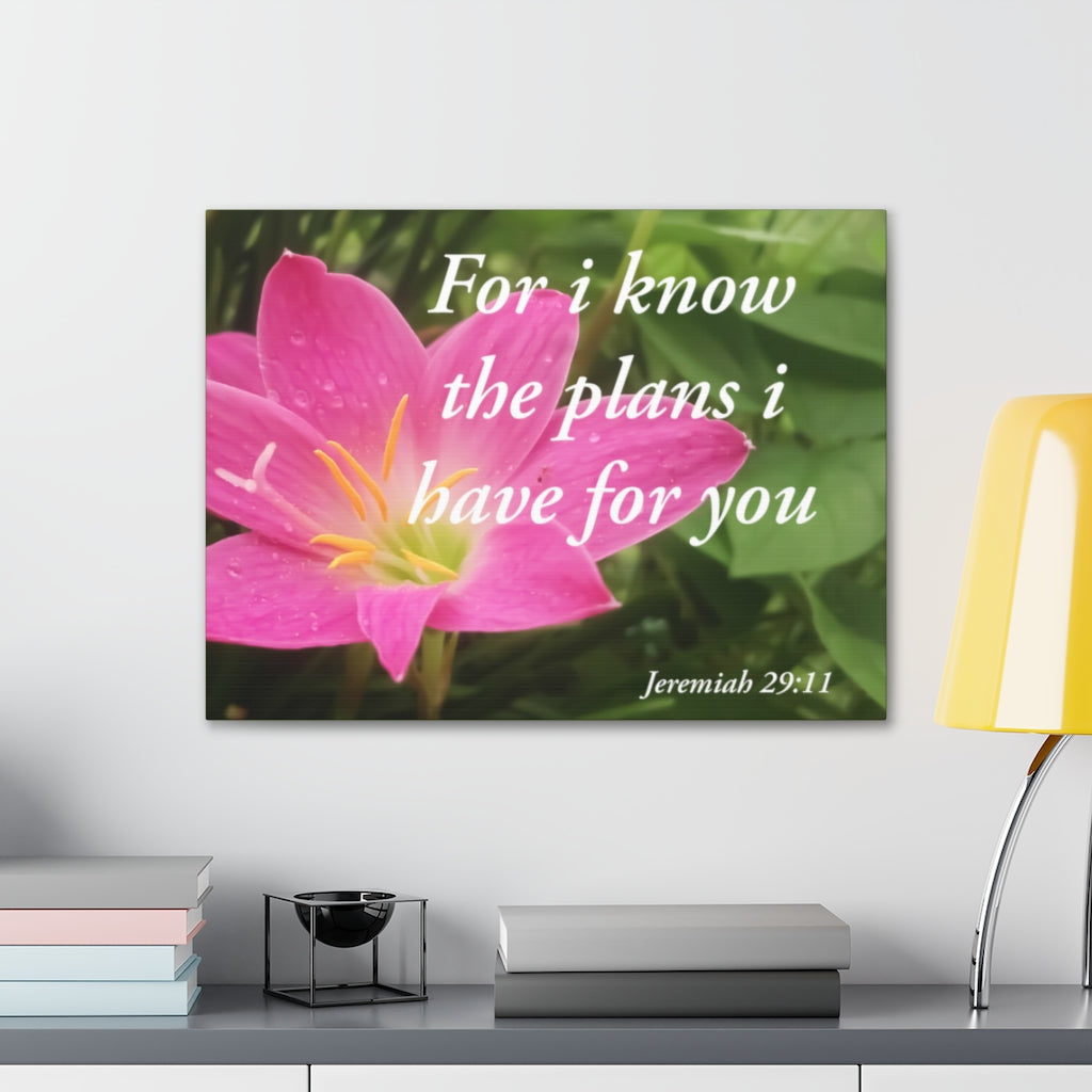 Scripture Walls Plans I Have Jeremiah 29:11 Bible Verse Canvas Christian Wall Art Ready to Hang Unframed-Express Your Love Gifts