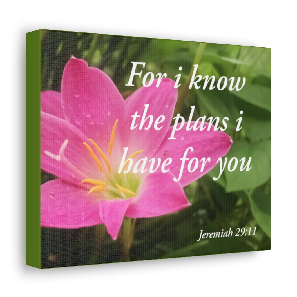 Scripture Walls Plans I Have Jeremiah 29:11 Bible Verse Canvas Christian Wall Art Ready to Hang Unframed-Express Your Love Gifts